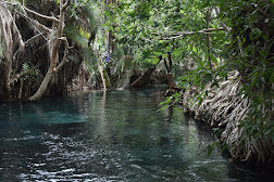 Chemka Hot spring