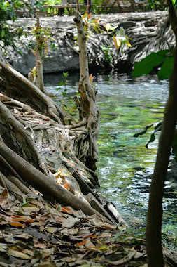 Chemka Hot spring