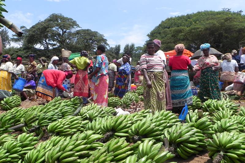 Marangu Cultural Day Trip