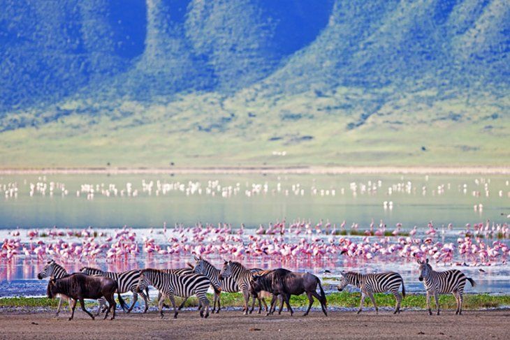 NGORONGORO