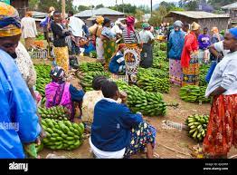 Marangu Cultural Day Trip