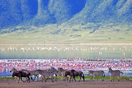 NGORONGORO